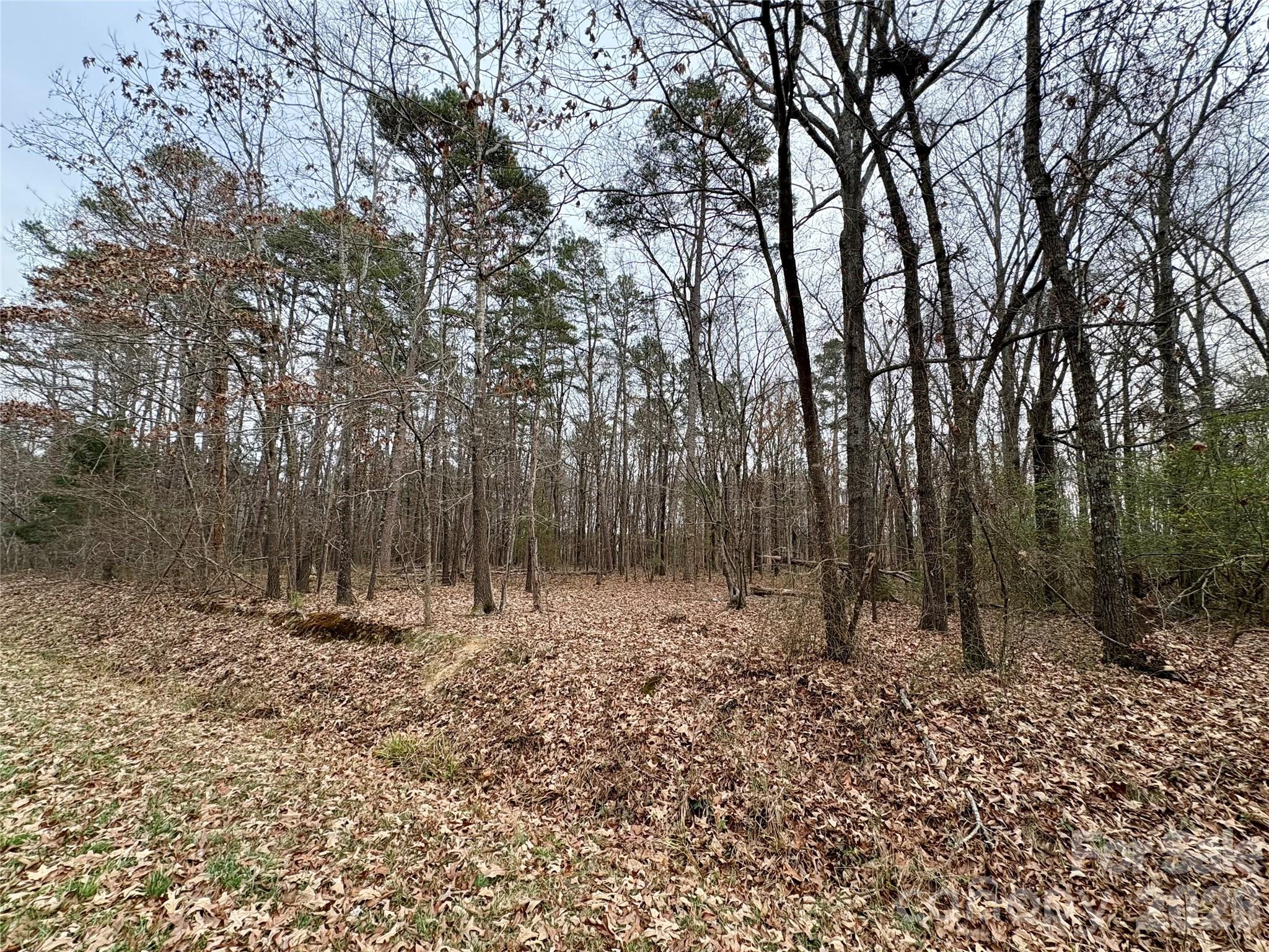 2734 L J Whitley Rd, Monroe, NC 28112