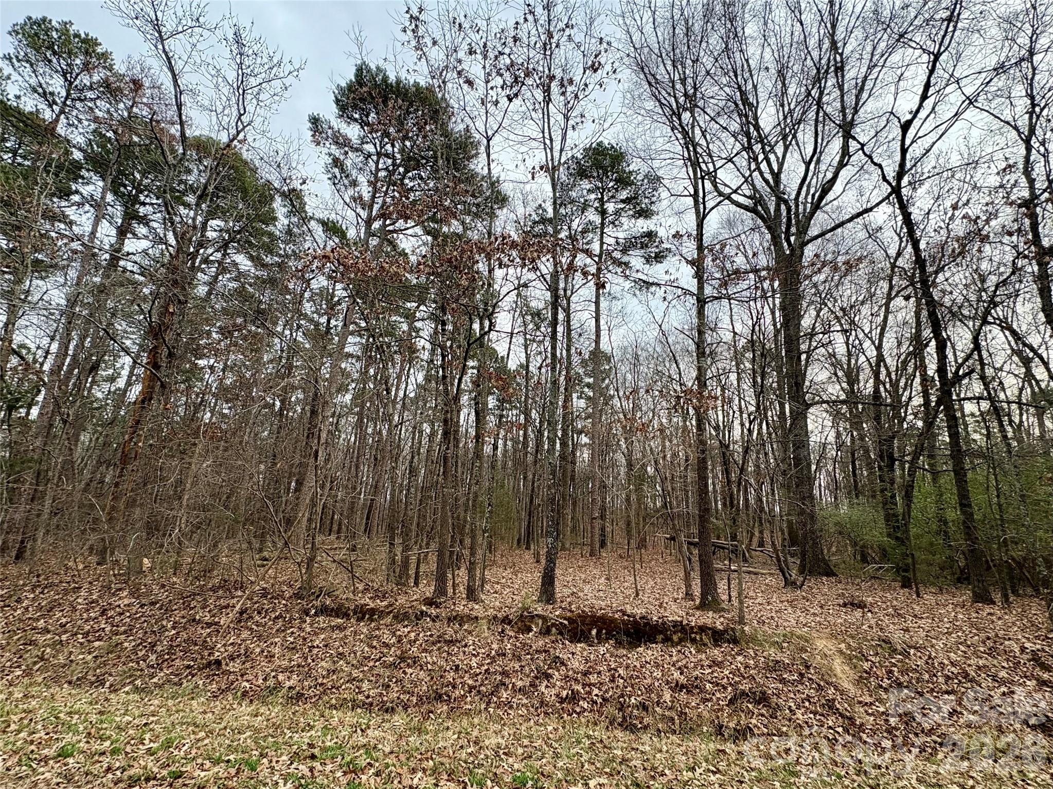 2734 L J Whitley Rd, Monroe, NC 28112