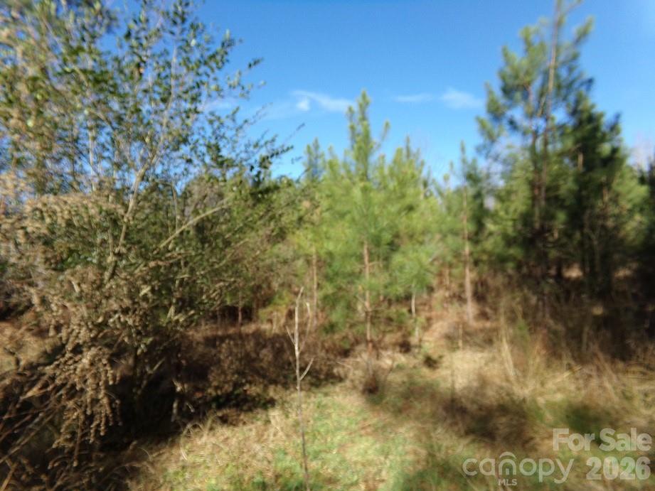 42 Ac Hwy 55 Hw, Clover, SC 29710