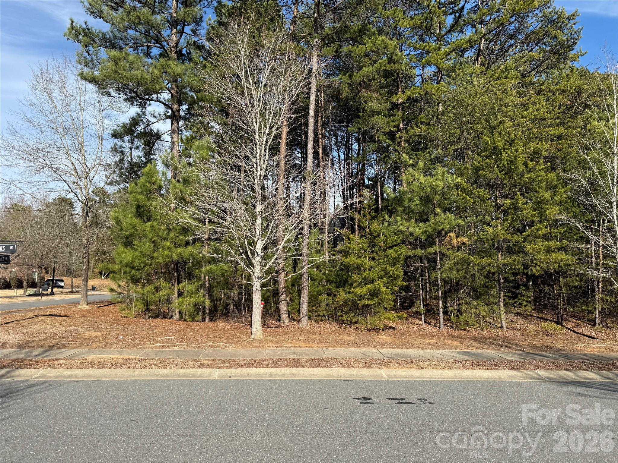 16213 Monnet Place Ct, Charlotte, NC 28278