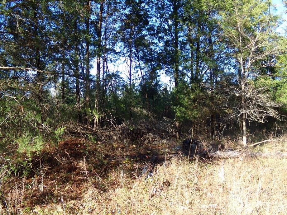 104 Ac Cedarhurst Rd, Chester, SC 29706