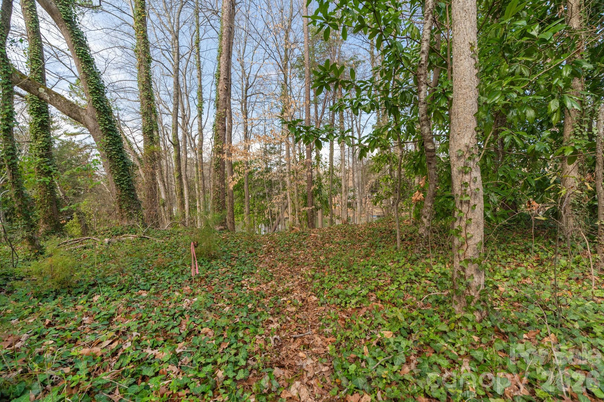 TBD Oakwood Ln, Charlotte, NC 28215