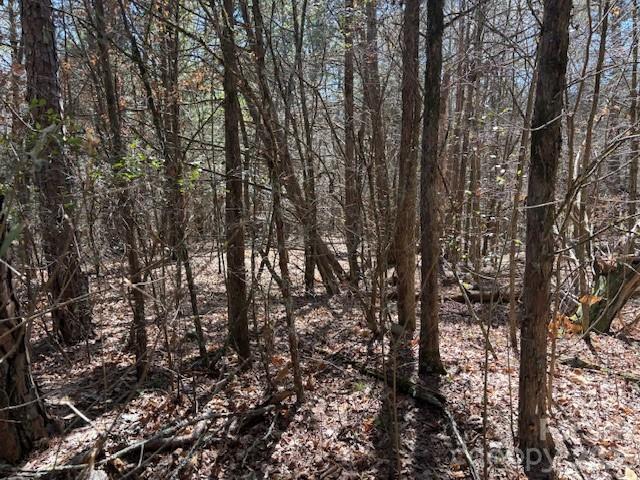 7340 Paul Linker Pl, Concord, NC 28025