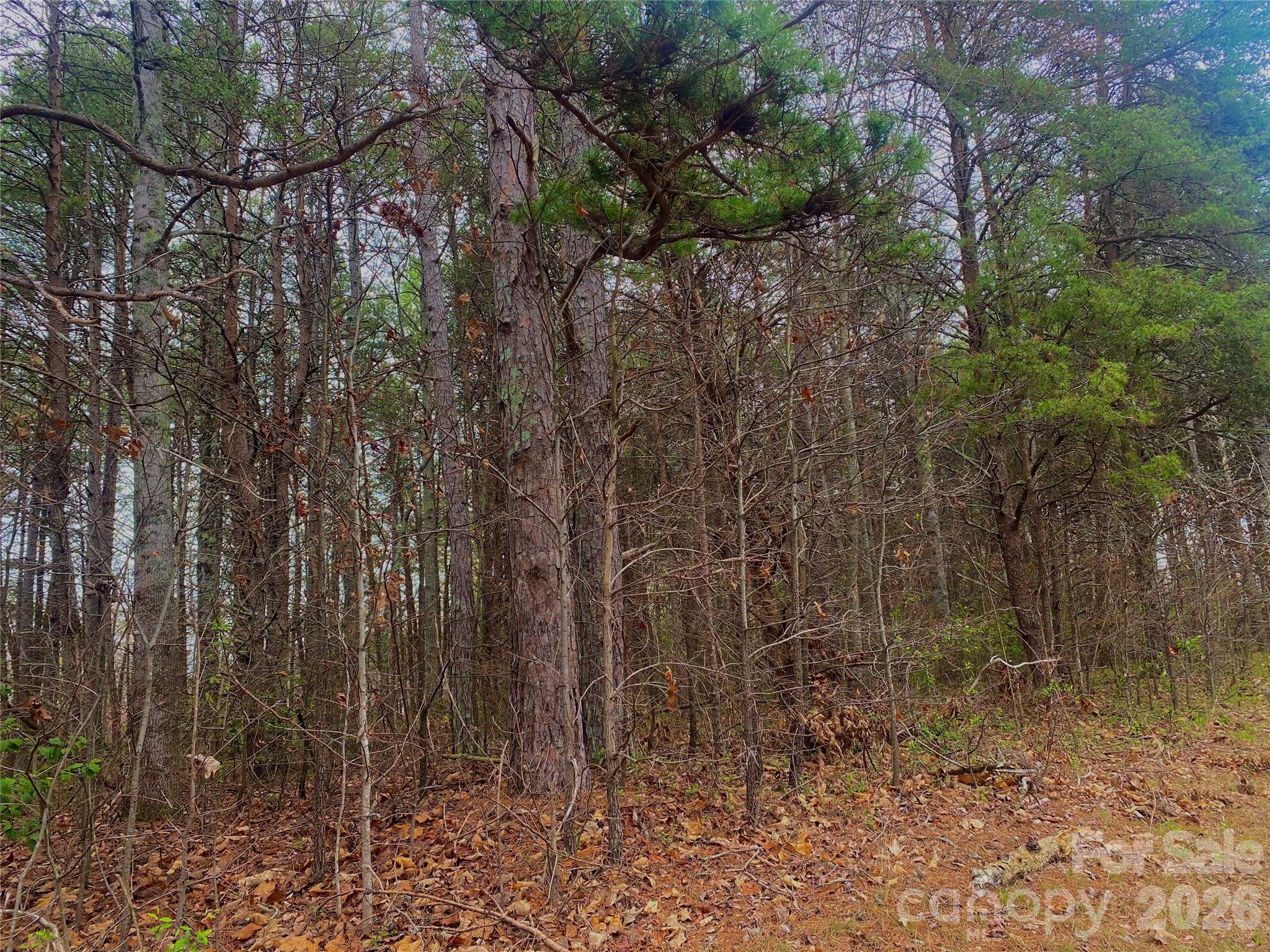302 Lewis Ferry Rd, Statesville, NC 28677