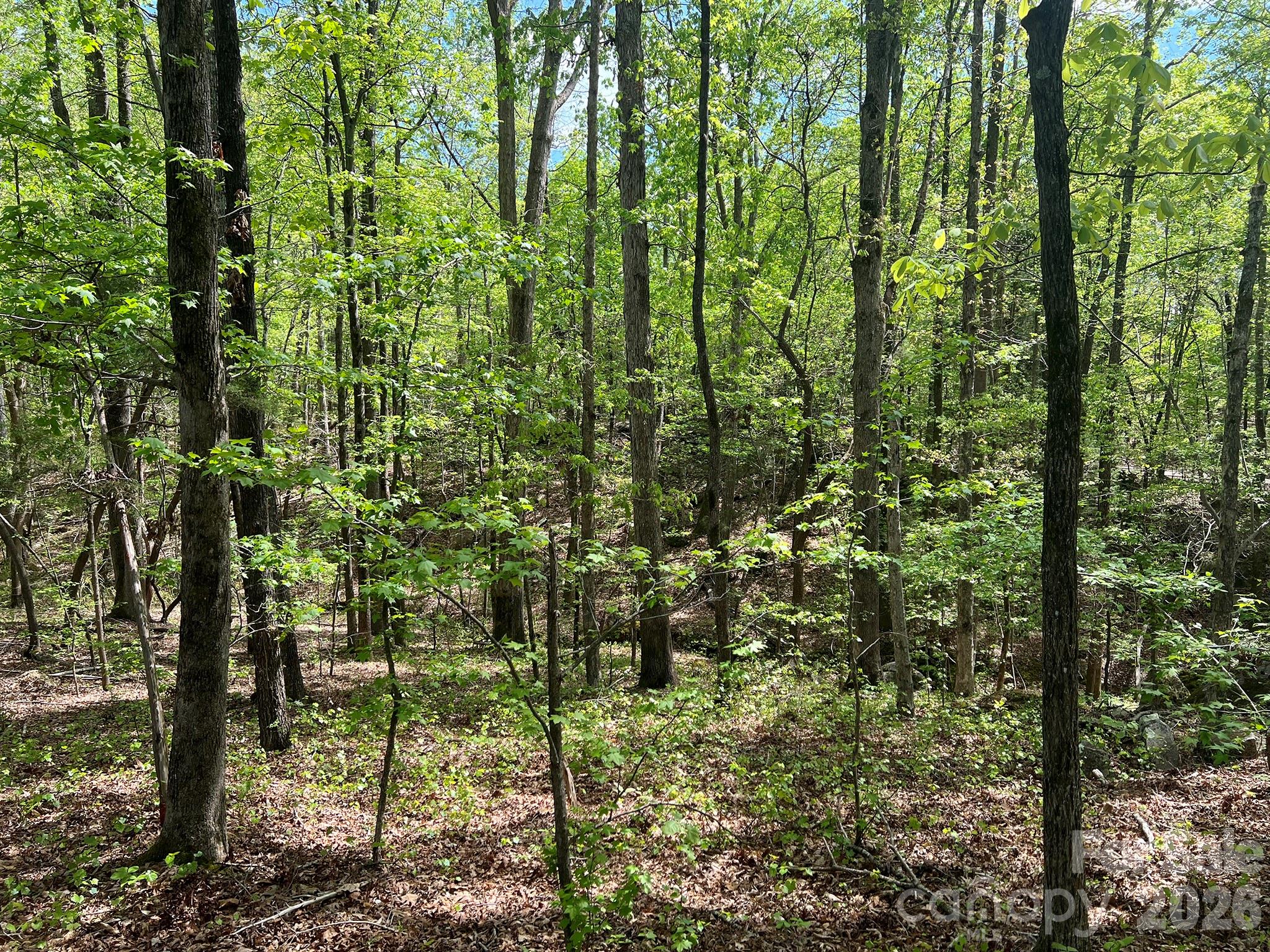 623 Mystic Way Ln, Waxhaw, NC 28173