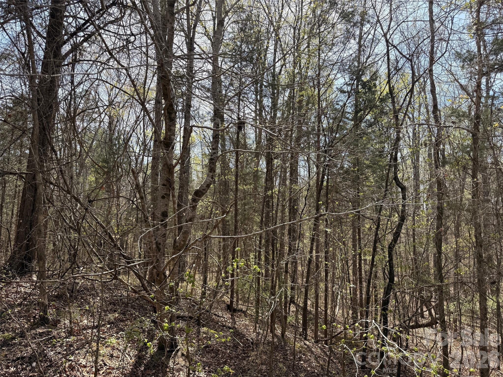 6223 Twining Vine Ct, Kannapolis, NC 28081