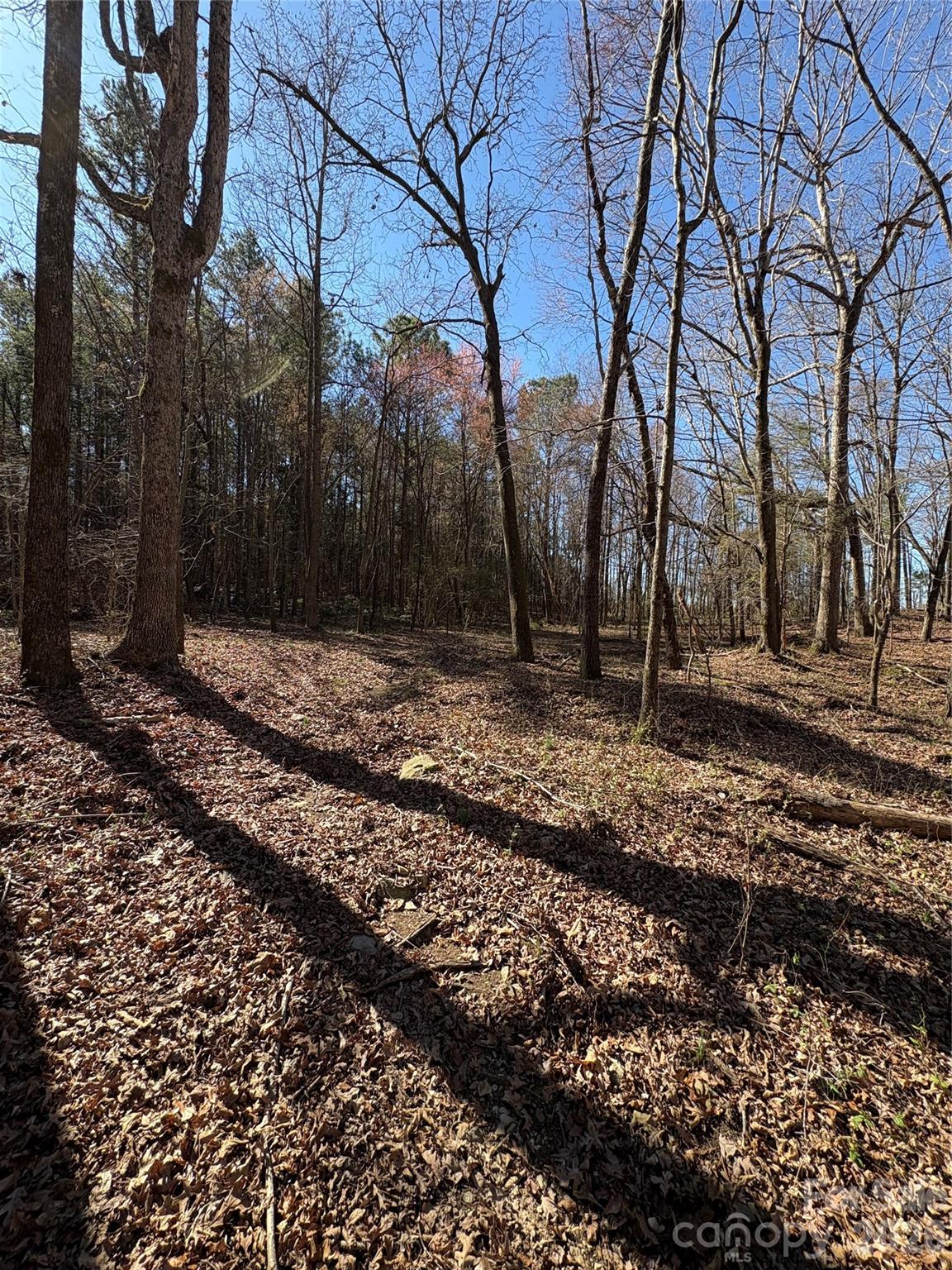 1417 Ellis Griffin Rd, Wingate, NC 28174