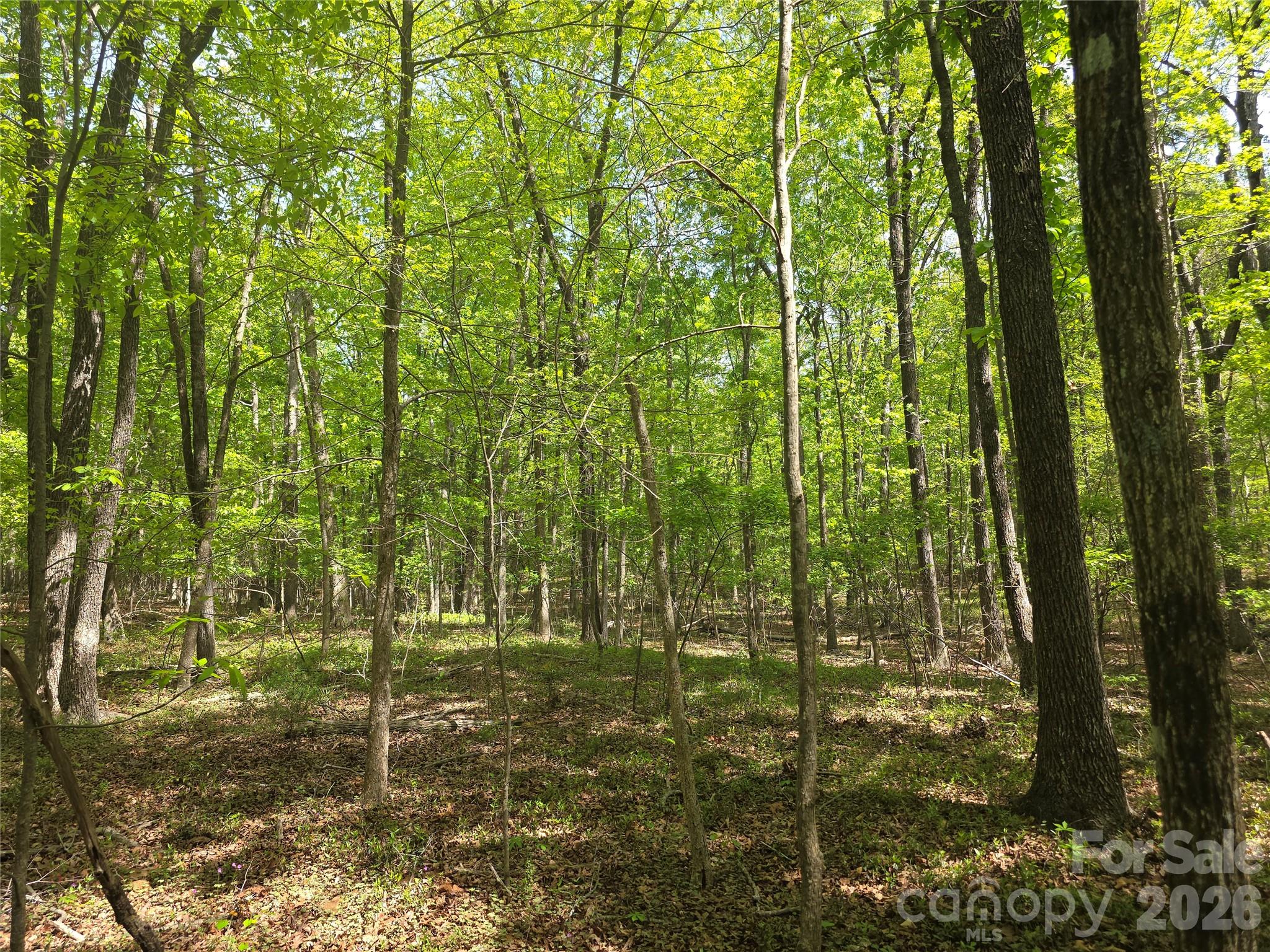 Lot 5 Wolf Pond Rd, Monroe, NC 28112