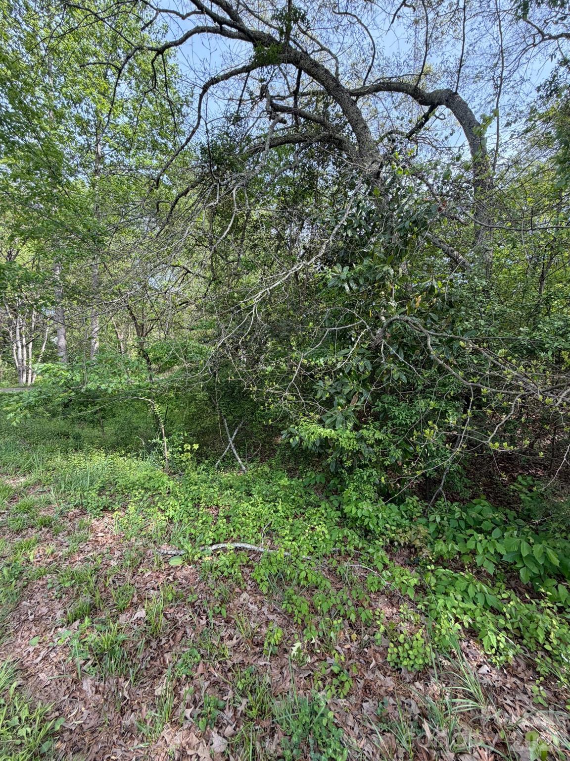 125 Sharon Rd, York, SC 29745