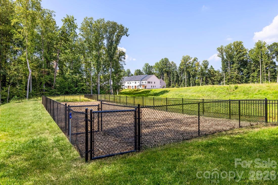 3119 Finchborough Ct, Charlotte, NC 28269