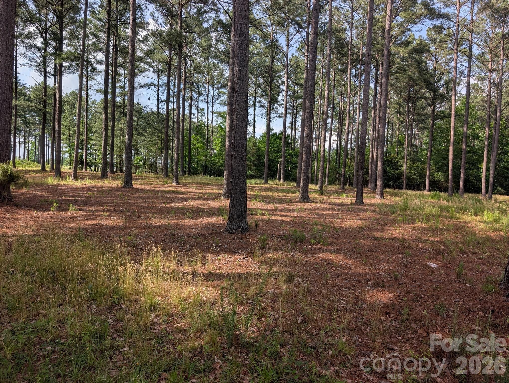 0000 Blessed Hope Rd #Tract 2, York, SC 29745