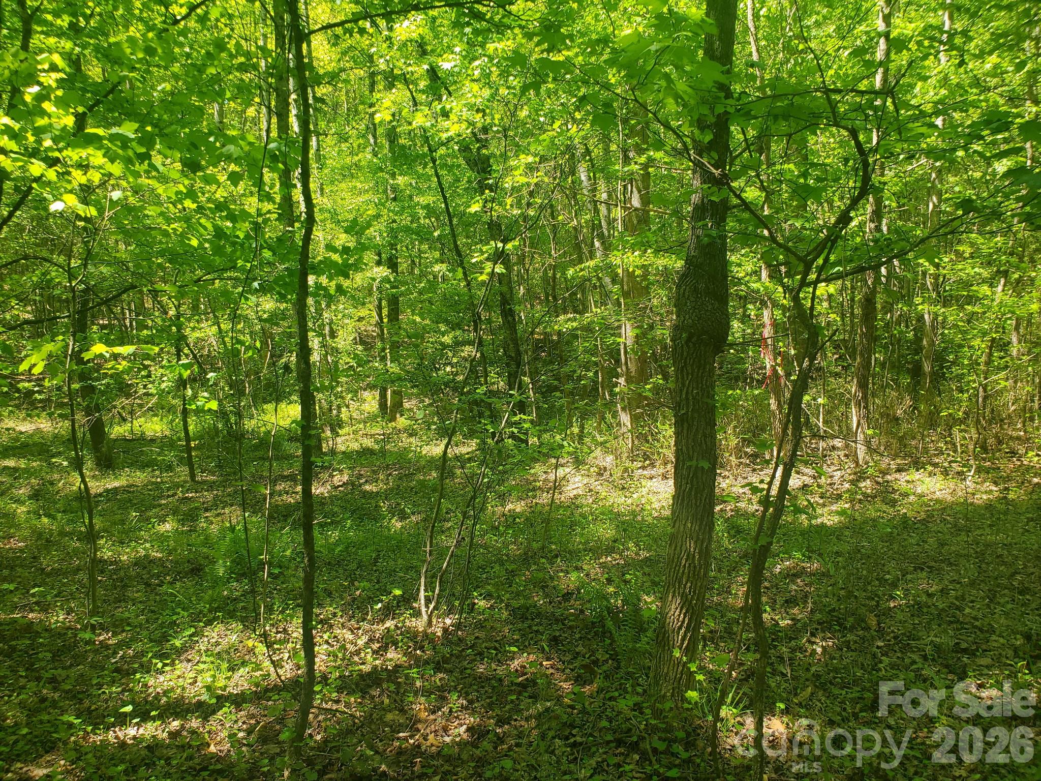 3727 Mount Beulah Rd #5, Sherrills Ford, NC 28673