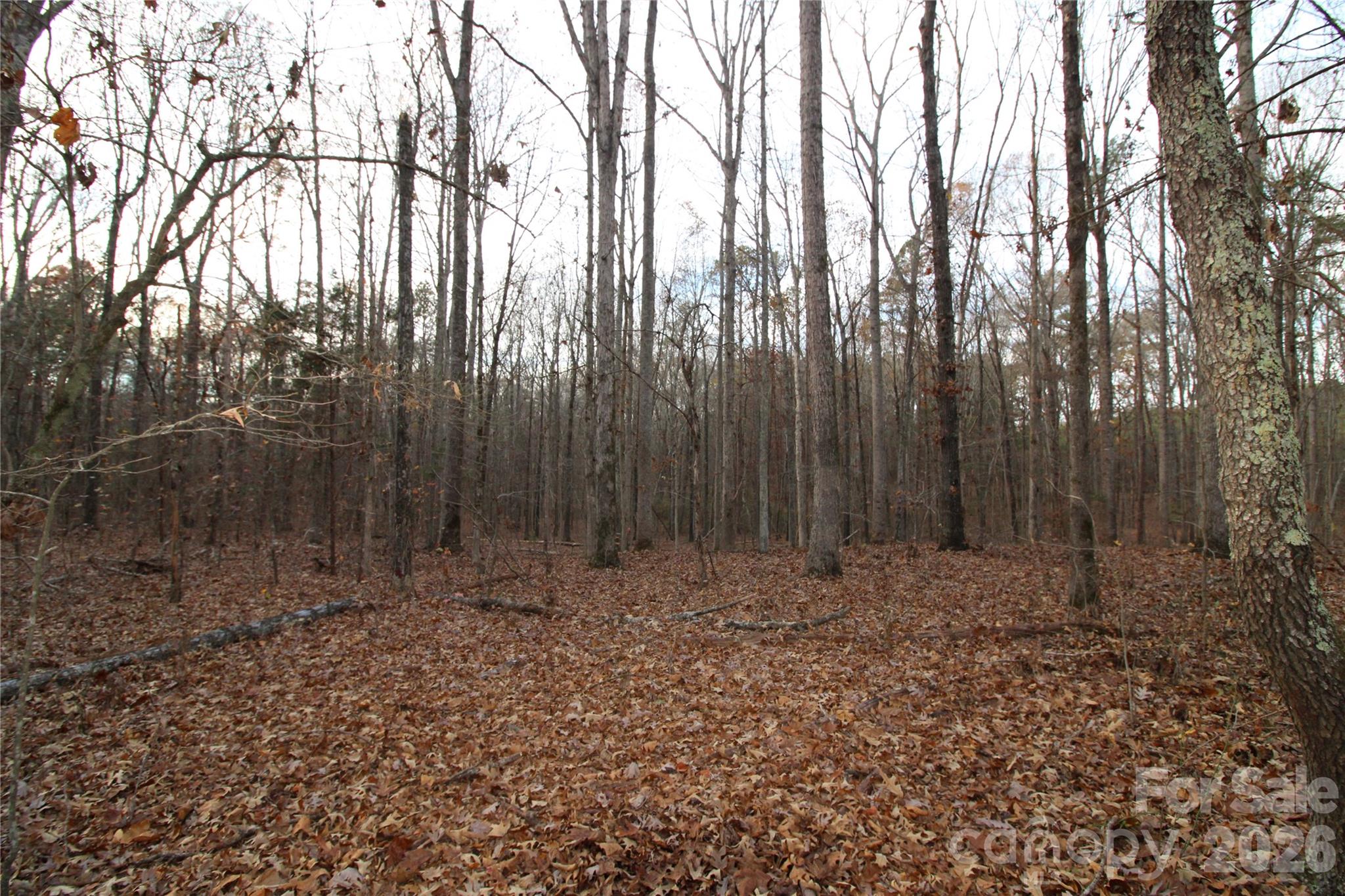 0 Pioneer Rd, York, SC 29745