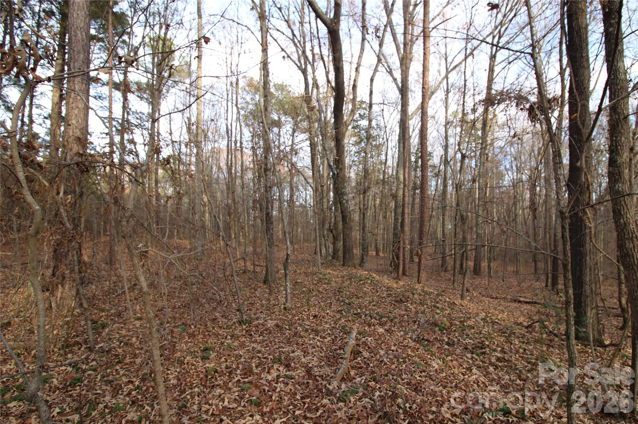 0 Pioneer Rd, York, SC 29745