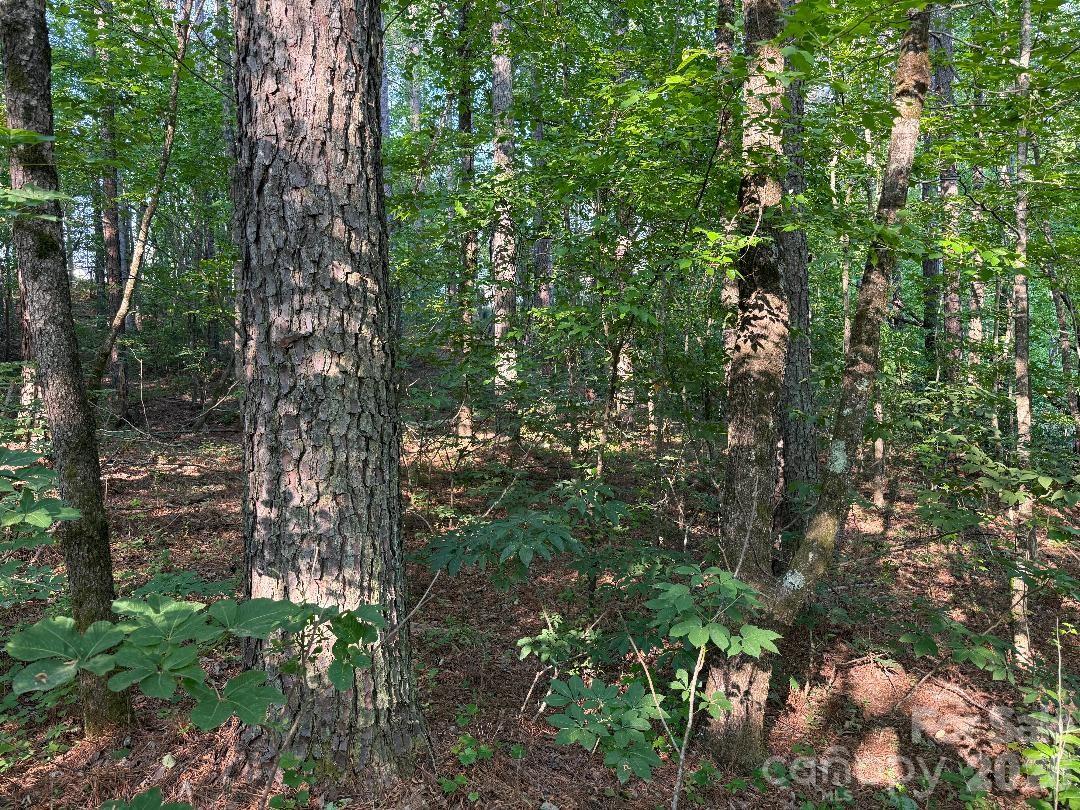 3249 Sherman Dr, Lancaster, SC 29720