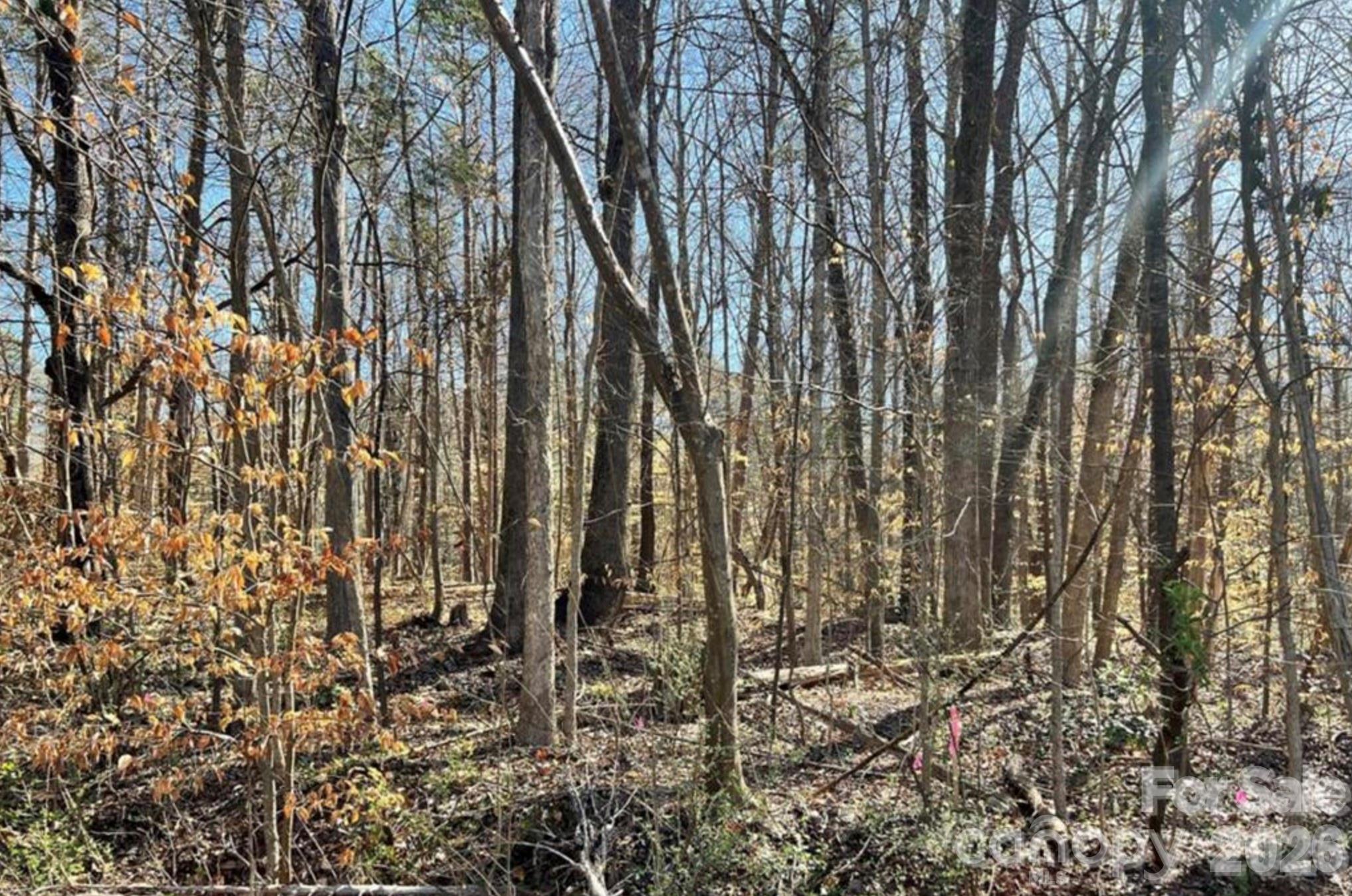 02 Lurecliff Pl, Fort Mill, SC 29708