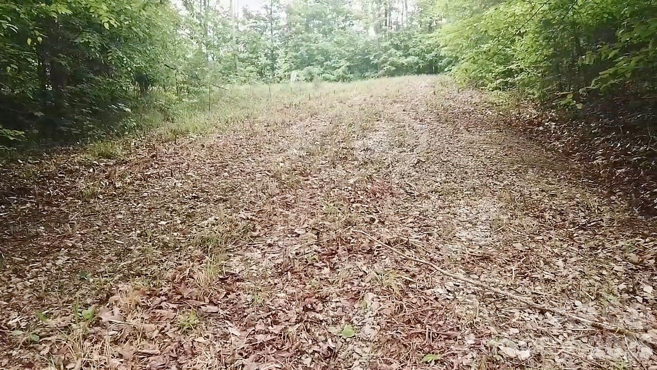 2115 Kisatchie Dr, Hickory Grove, SC 29717