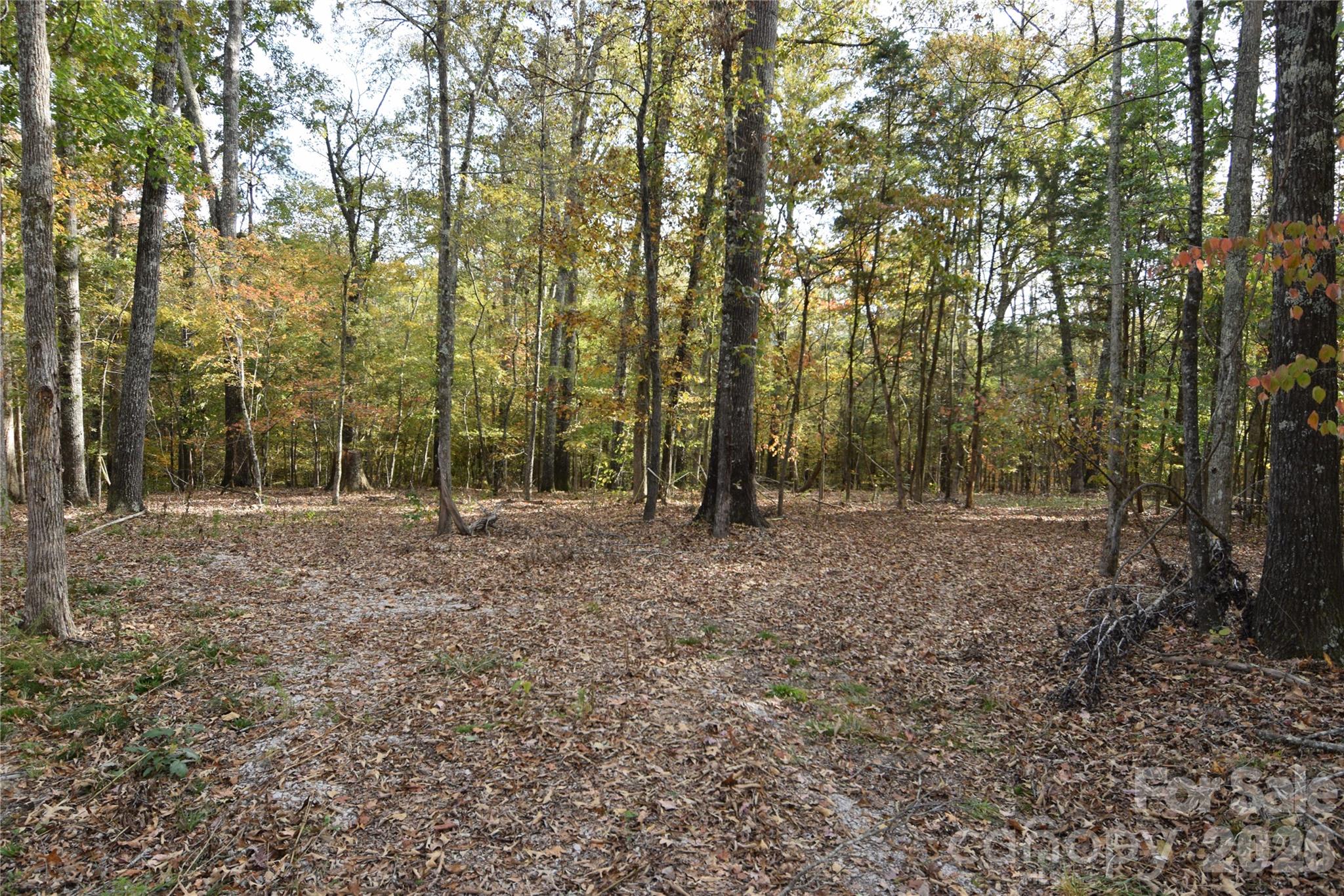 3007 Paraham Rd S, York, SC 29745