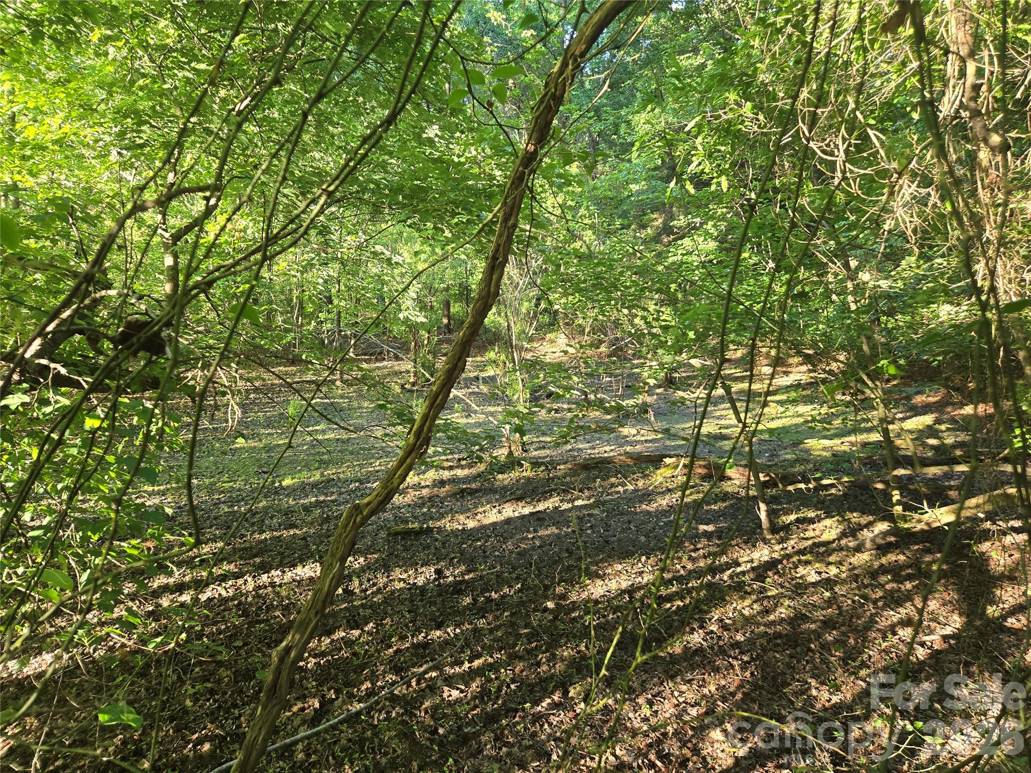 0000 218 Hw E, Marshville, NC 28103