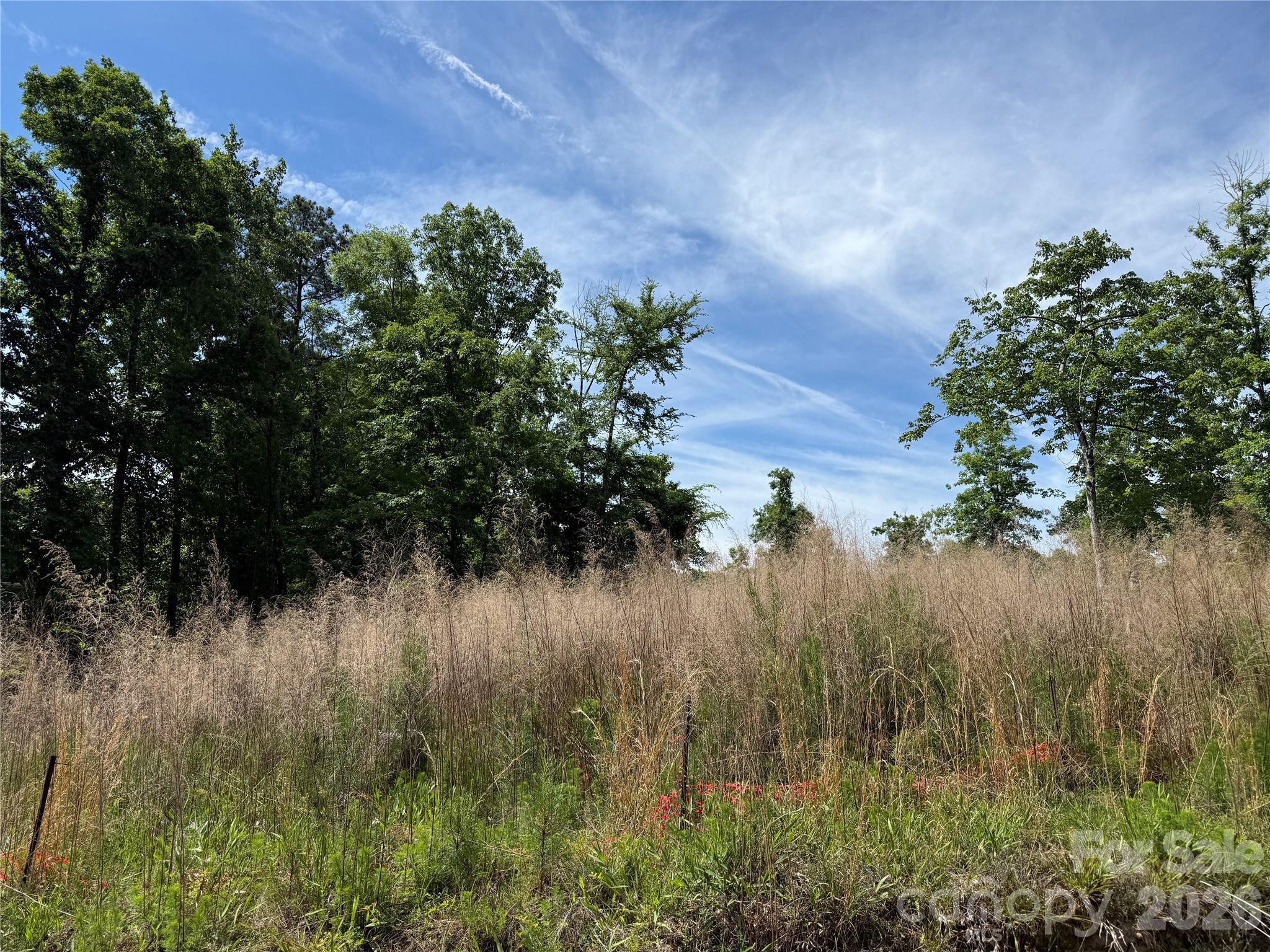426 Morrison Farm Rd, Troutman, NC 28166