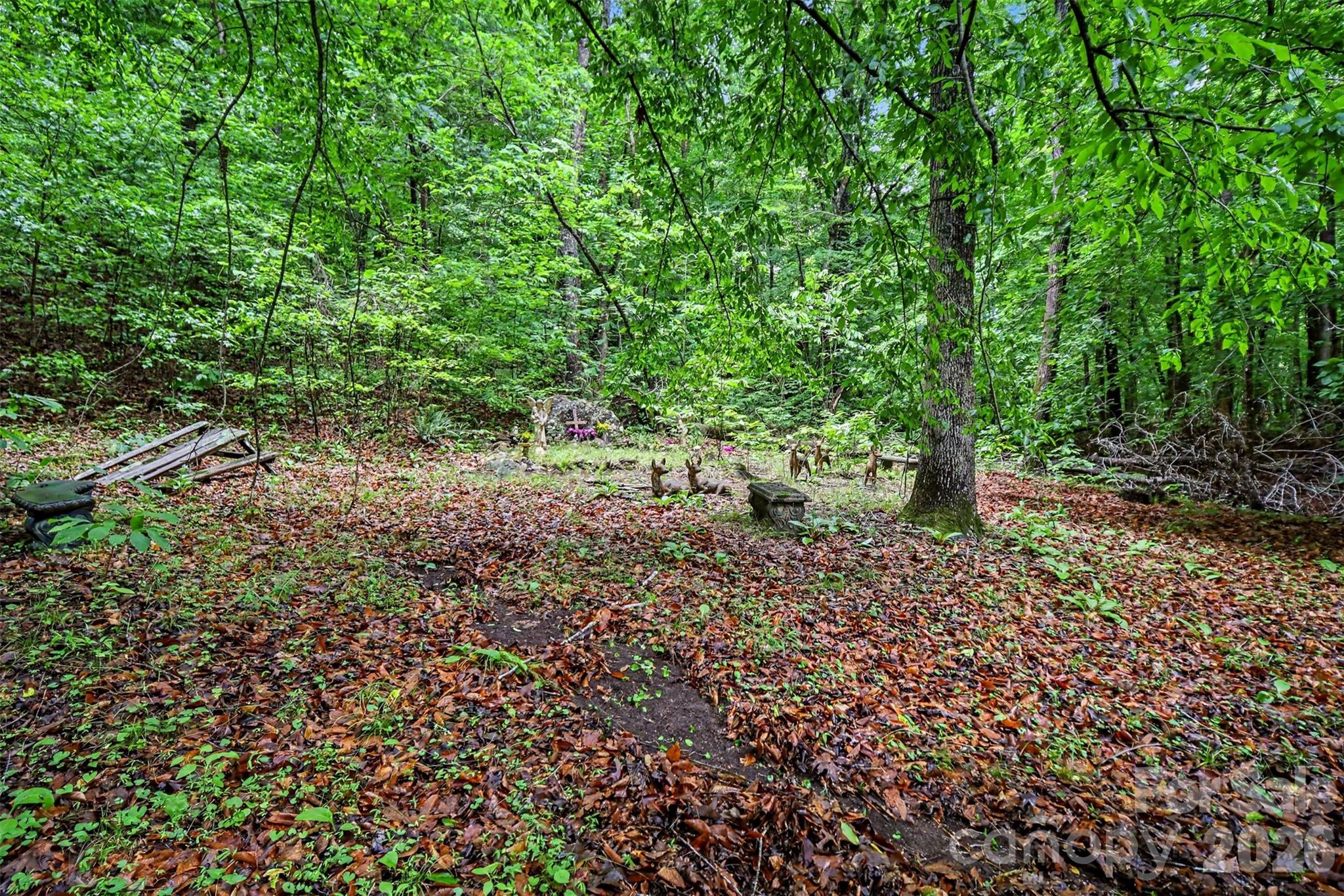 260 Cherrywood Ln, Sharon, SC 29742