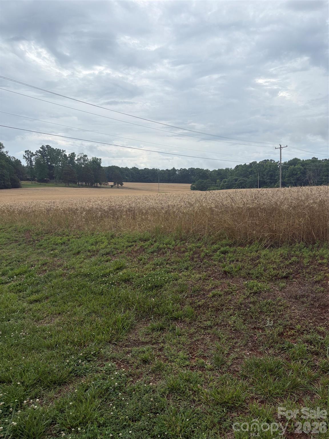 3434 Morgan Mill Rd, Monroe, NC 28110