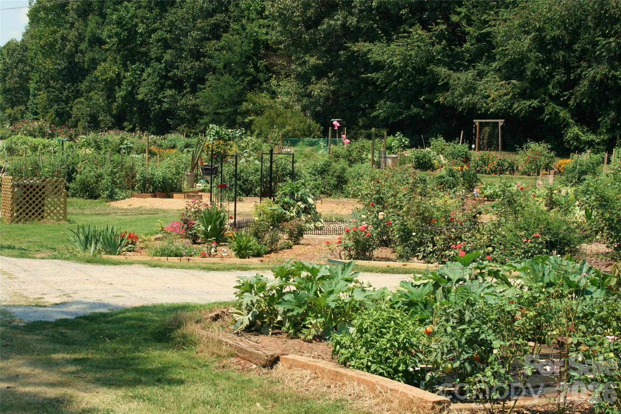 36 Water Thrush Rd, Lake Wylie, SC 29710