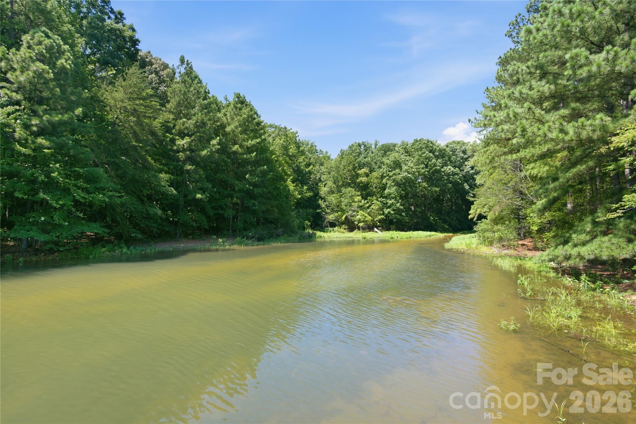 20528 Harbor View Dr, Cornelius, NC 28031