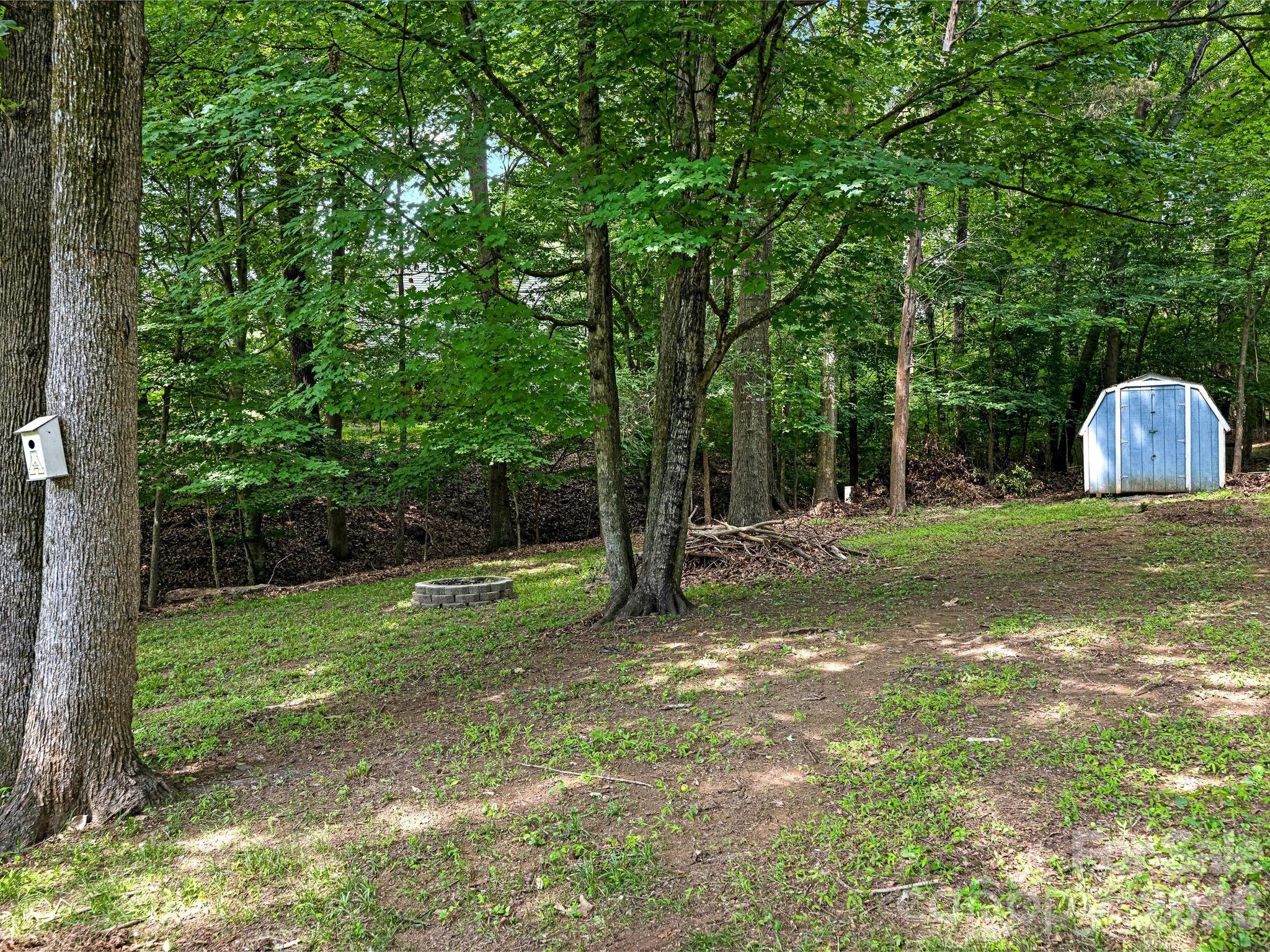 11510 Painted Tree Rd, Charlotte, NC 28226