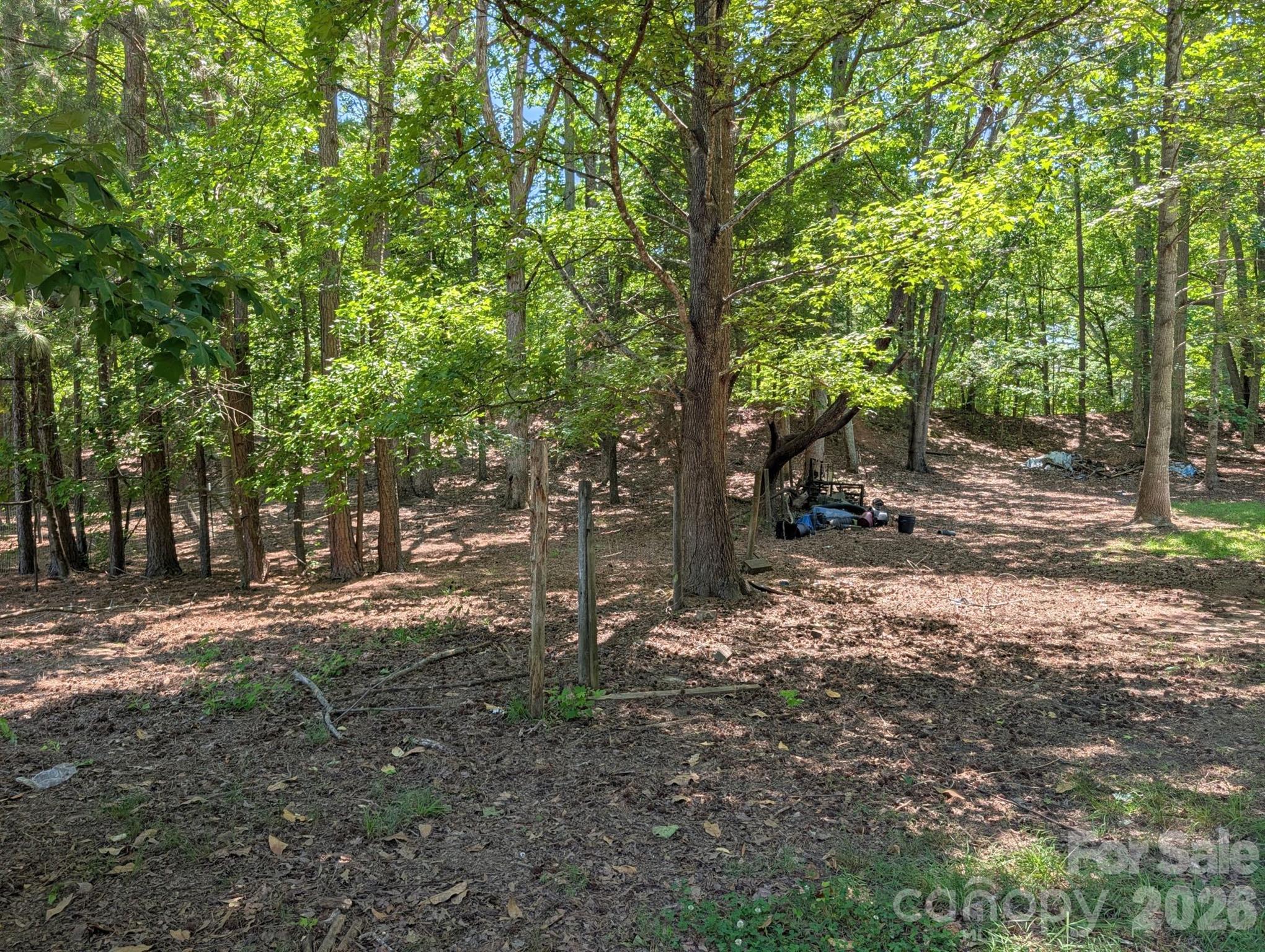 4053 Roddey Rd, Catawba, SC 29704