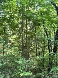 TBA Ricks Rd, Sharon, SC 29742