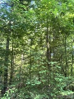 TBA Ricks Rd, Sharon, SC 29742