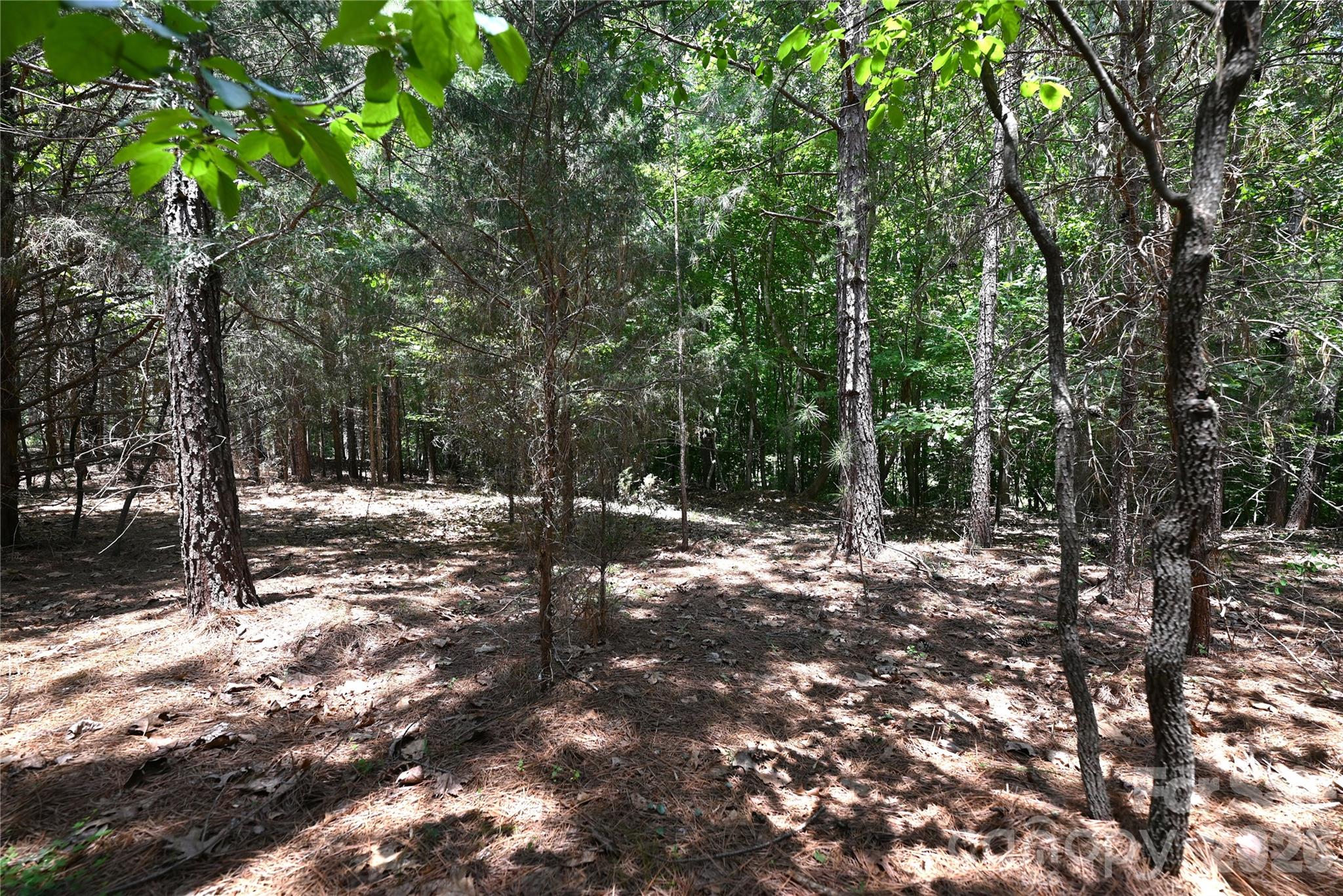 136 Oak Point Ln #36, Stony Point, NC 28678