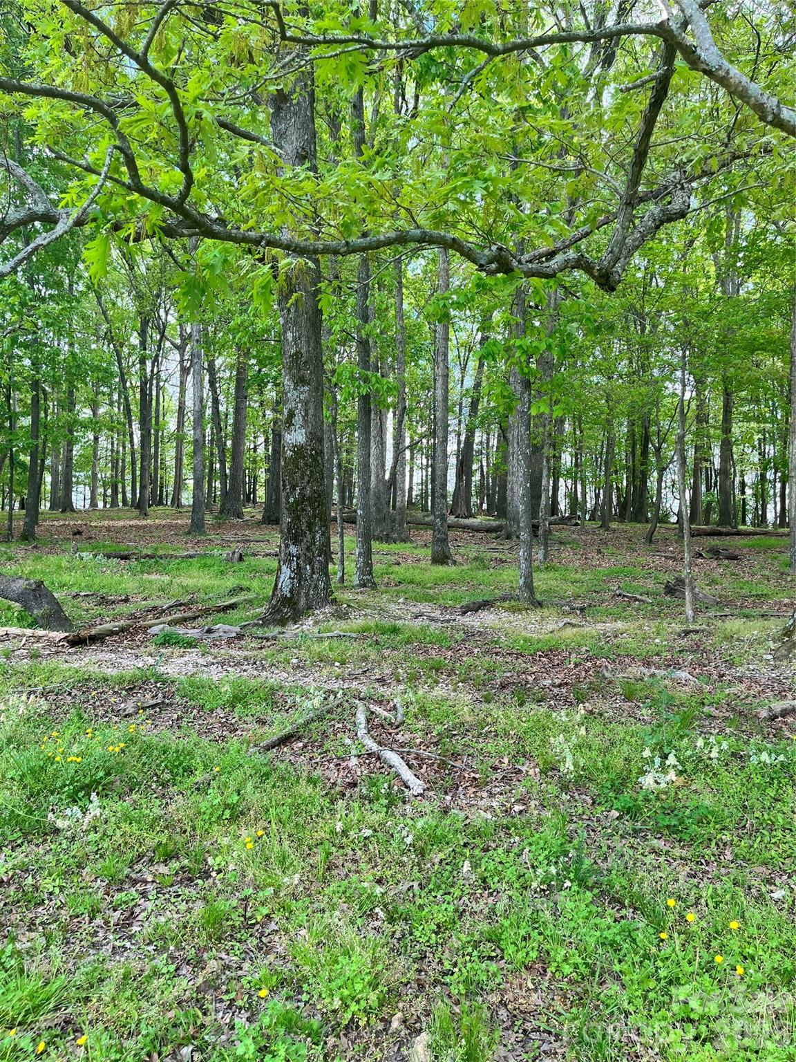 001 Wolf Pond Rd, Monroe, NC 28112