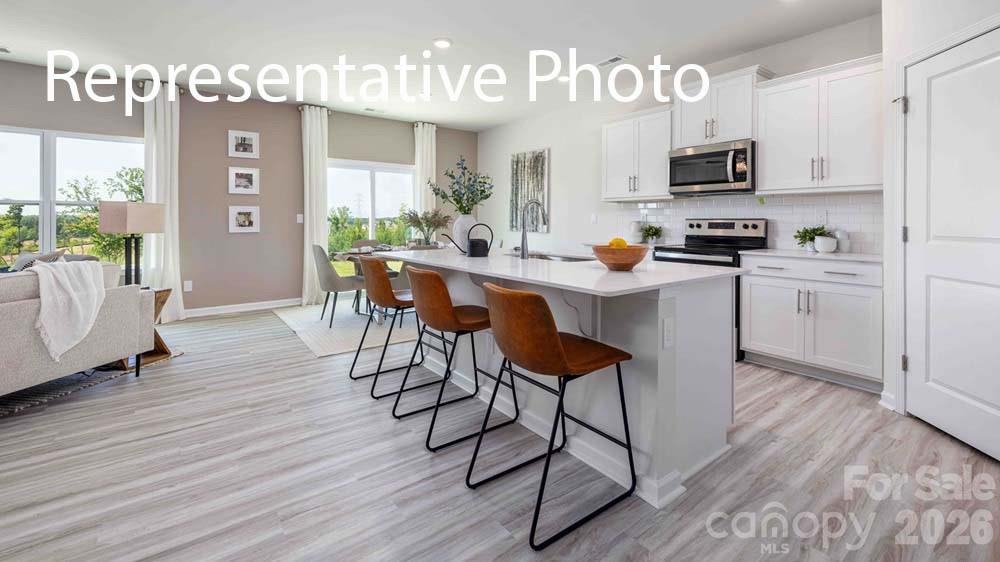 15016 Murrelet Way, Charlotte, NC 28215