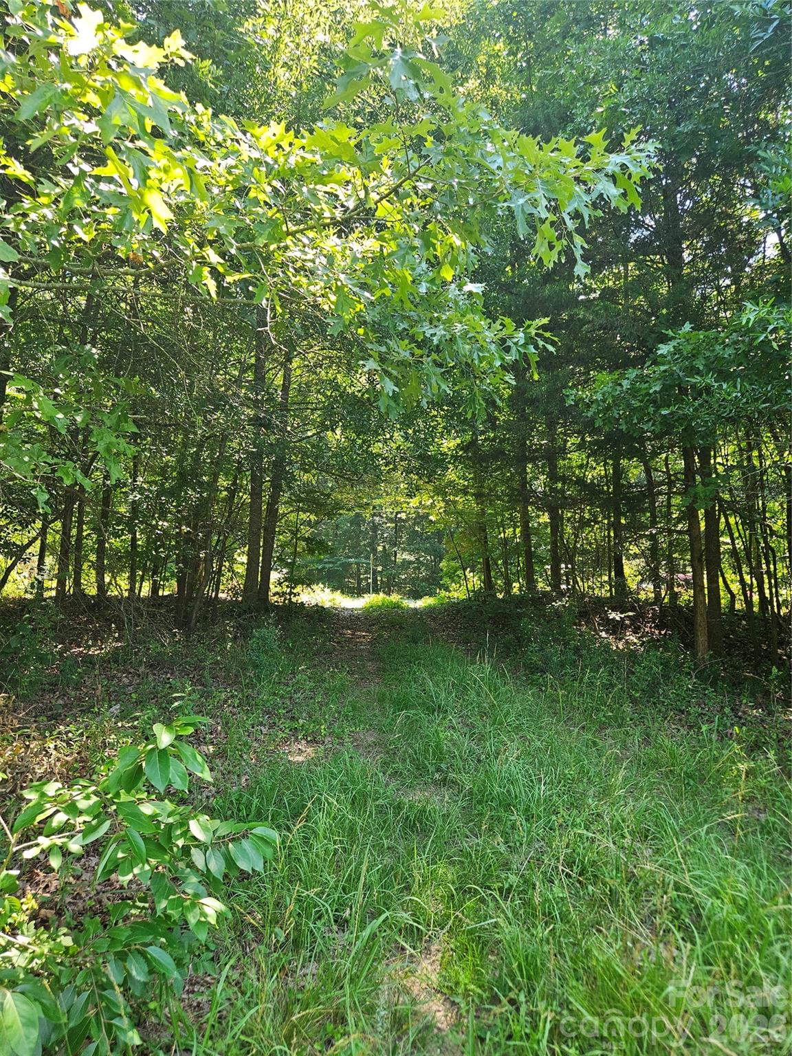 16.70ac Providence Rd S, Waxhaw, NC 28173