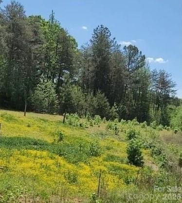 2195 Otis Dellinger Rd, Lincolnton, NC 28092