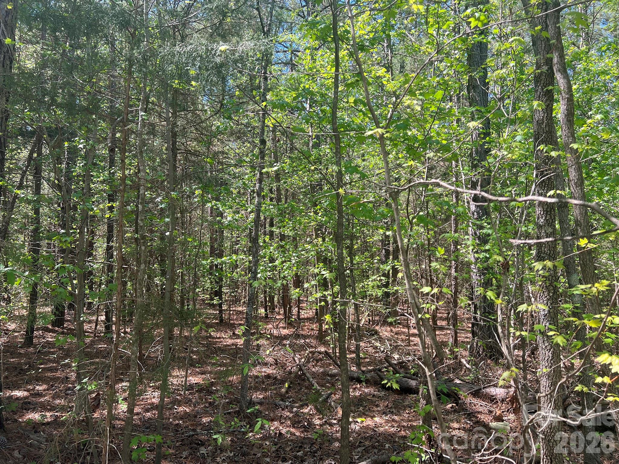 8320 Waxhaw Creek Rd, Waxhaw, NC 28173