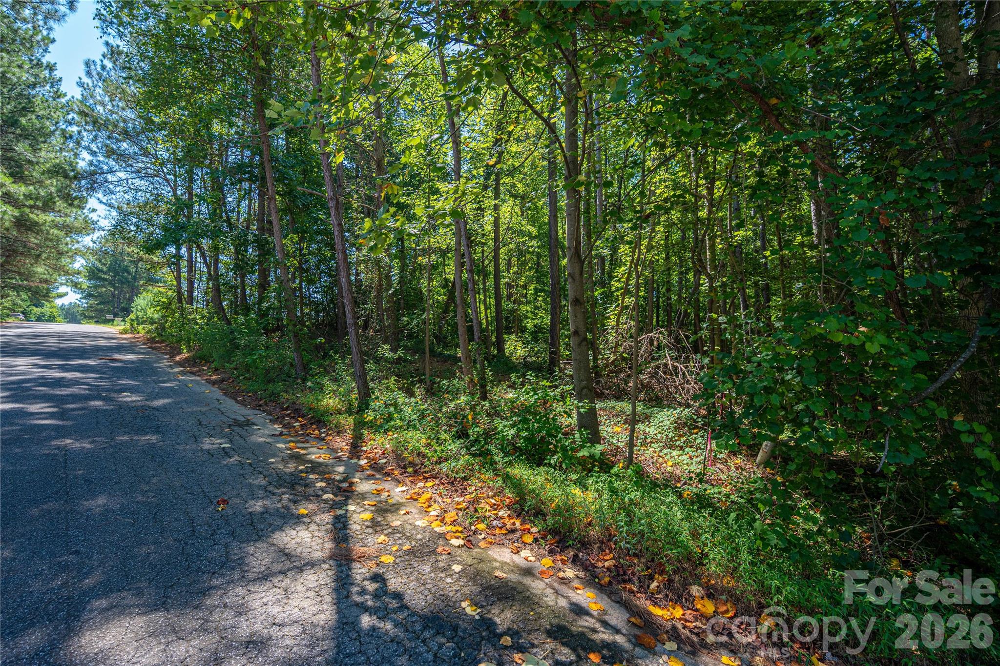 00 Knottywood Ln #26, Vale, NC 28168