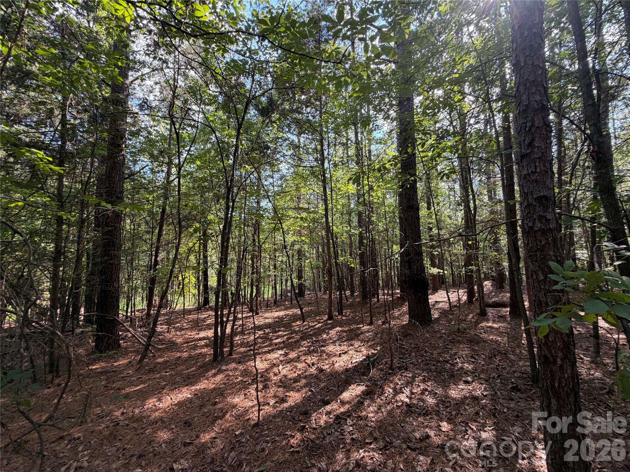 9212 Rustic Creek Trl, Waxhaw, NC 28173