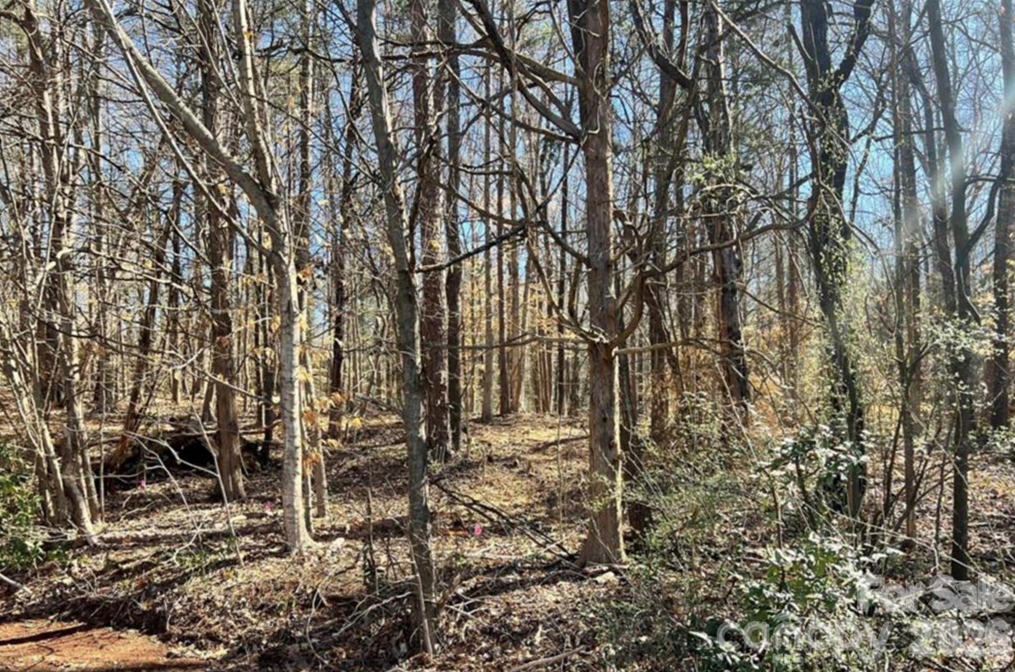 03 Lurecliff Pl, Fort Mill, SC 29708