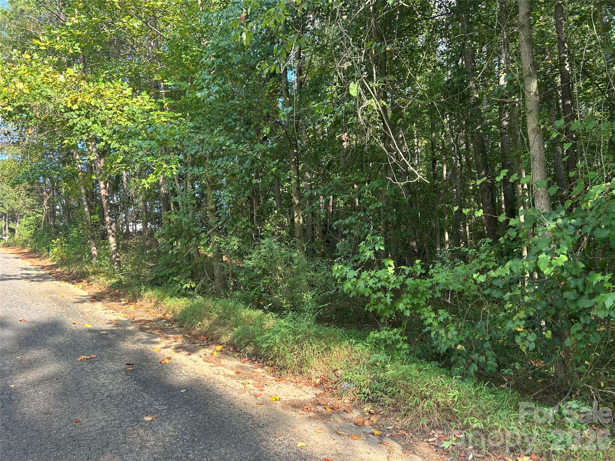 00 Knottywood Ln #25, Vale, NC 28168