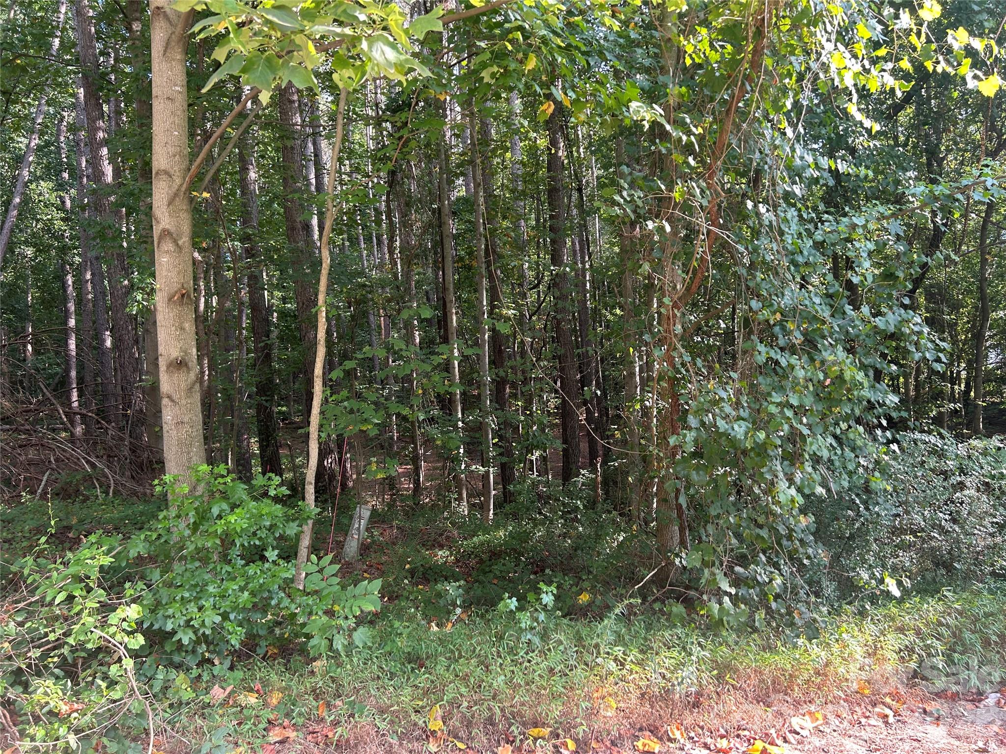 00 Knottywood Ln #25, Vale, NC 28168