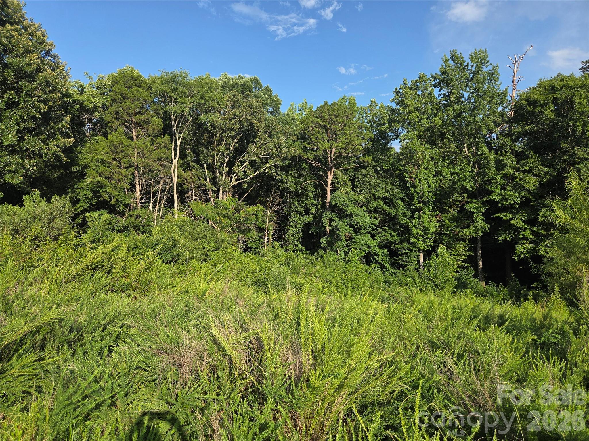 92 SE Mcarthur Ave SE, Concord, NC 28025