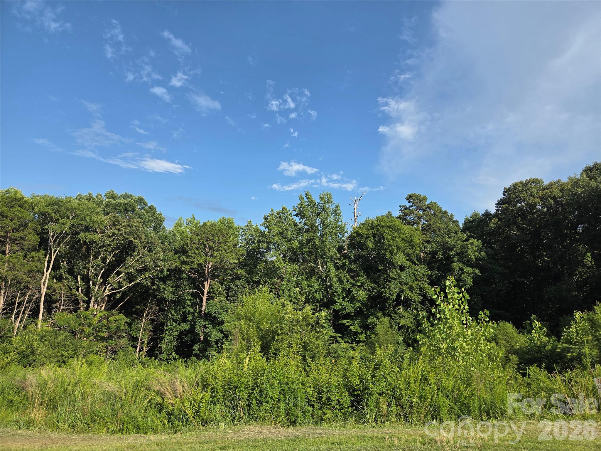 92 SE Mcarthur Ave SE, Concord, NC 28025
