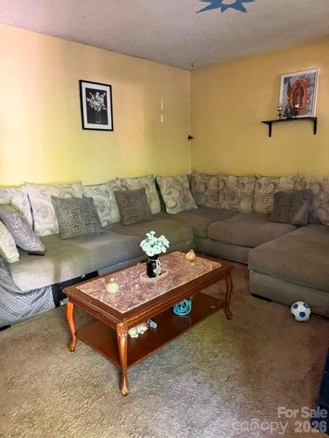 1131 Echo Glen Rd, Charlotte, NC 28213