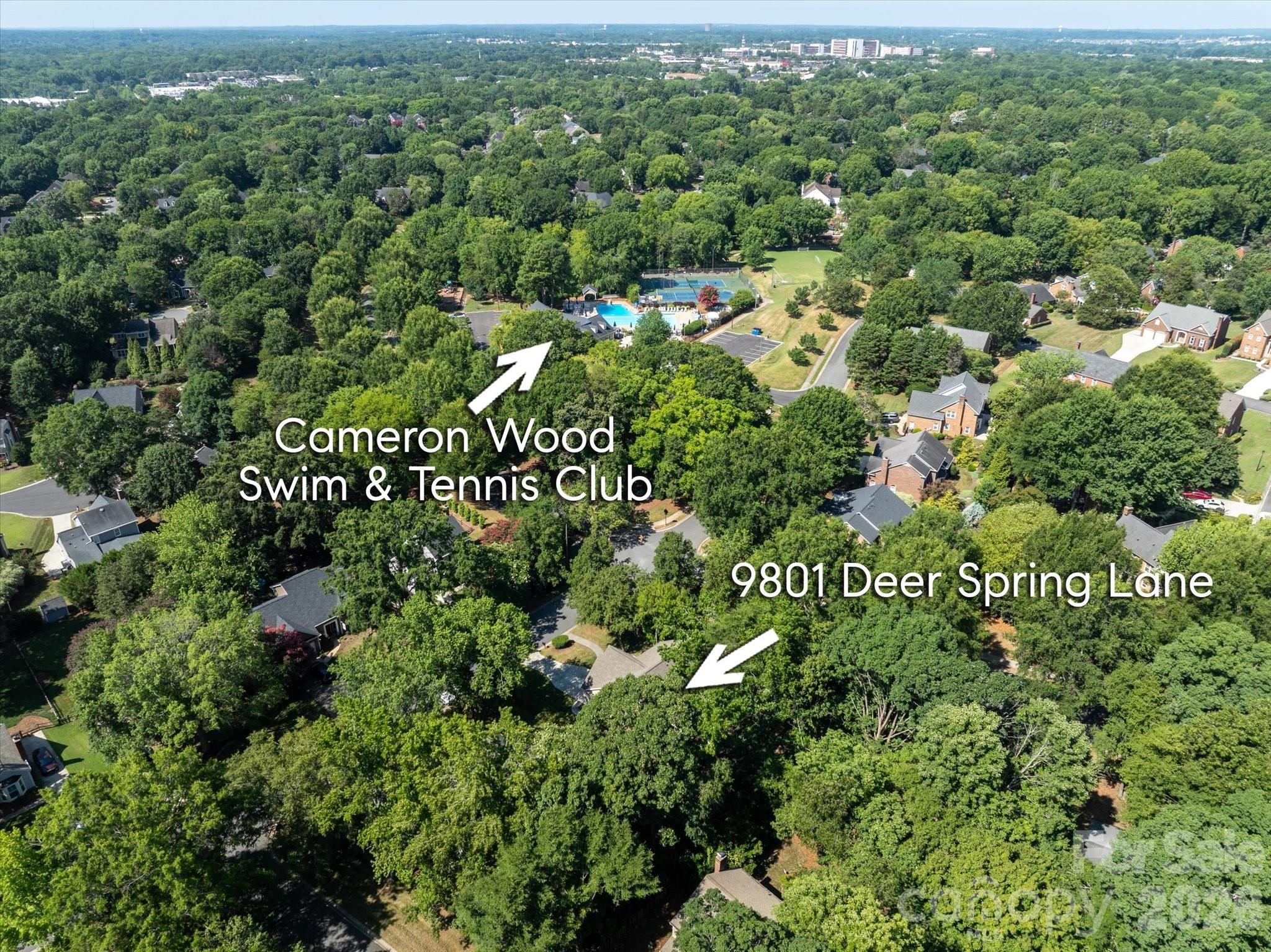 9801 Deer Spring Ln, Charlotte, NC 28210
