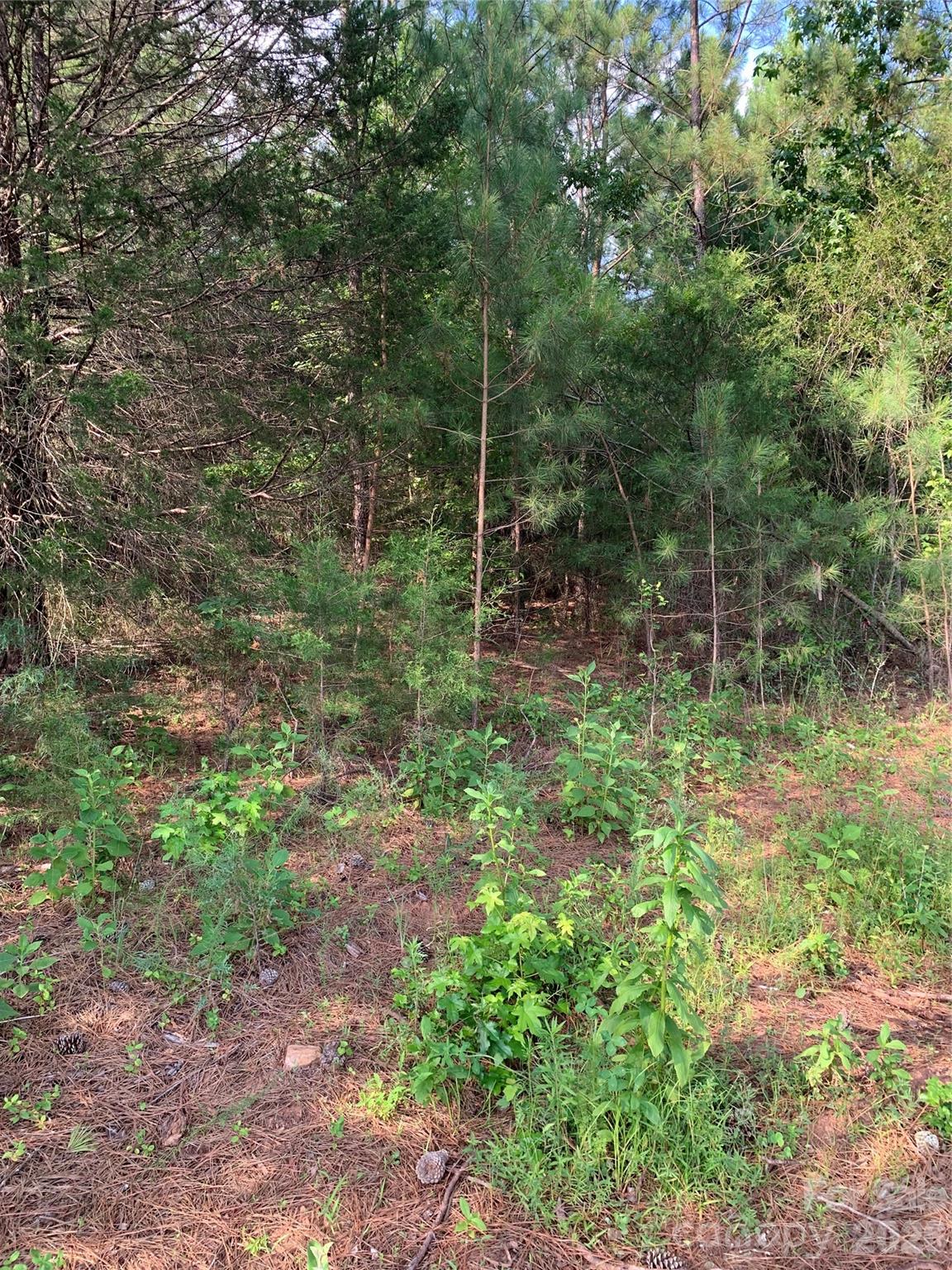 0 Rock House Rd, Blacksburg, SC 29702