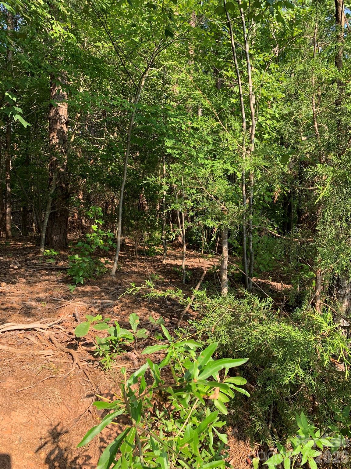 0 Rock House Rd, Blacksburg, SC 29702