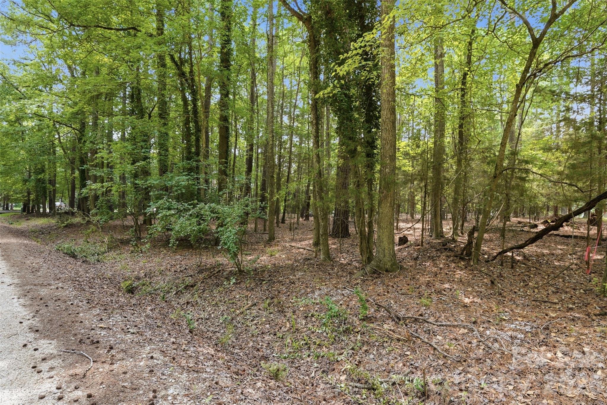 TBD Marlette Dr, York, SC 29745